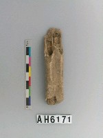 藏品(獸骨)的圖片